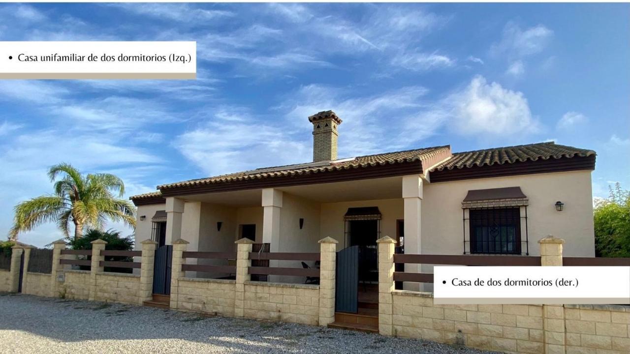 Arco Casas Adosadas Conil De La Frontera Eksteriør billede